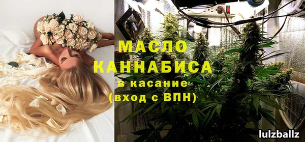 крисы Армянск