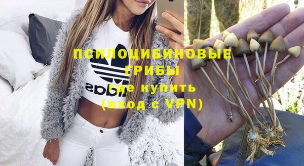 крисы Армянск