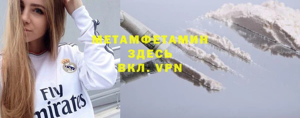 прущие грибы Аркадак