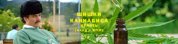 прущие грибы Аркадак