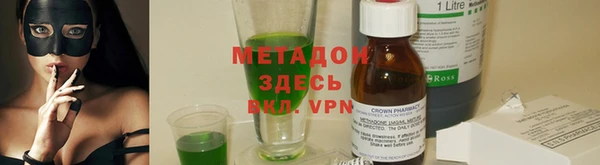 прущие грибы Аркадак