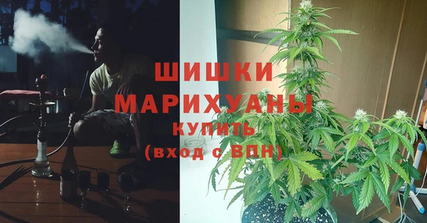 крисы Армянск