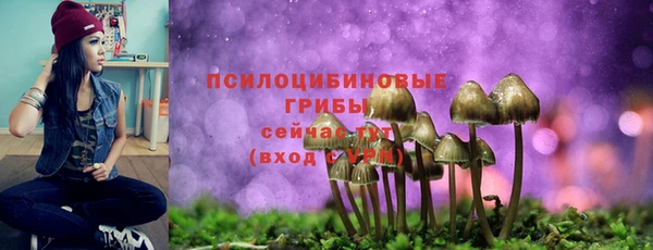 apvp Арсеньев