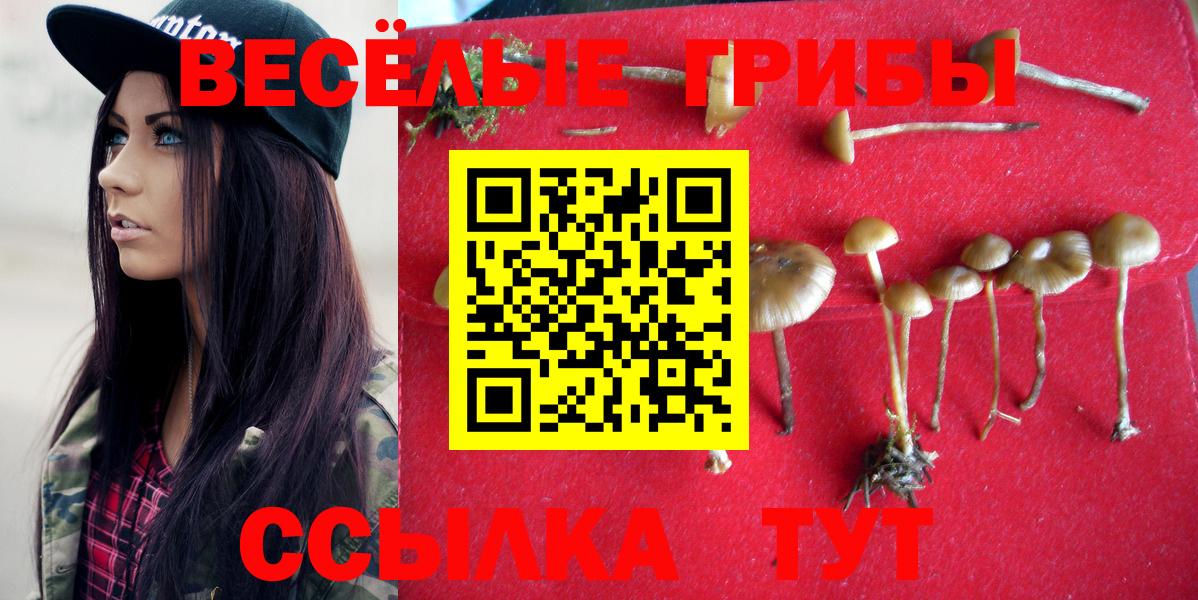 Псилоцибиновые грибы Psilocybine cubensis Радужный